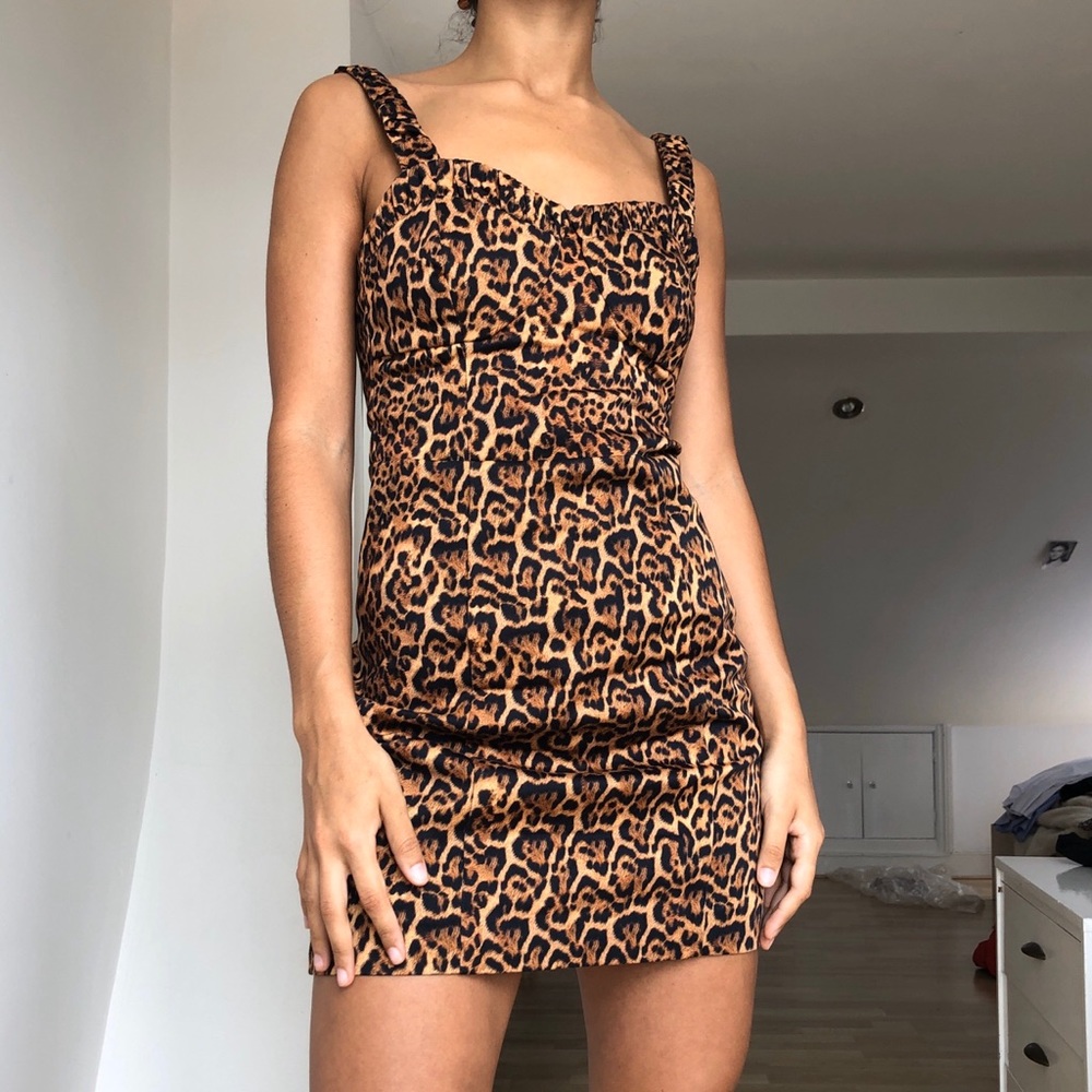 Zara Cheetah Mini Dress